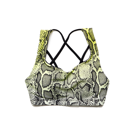 Graphic Mudra Bra