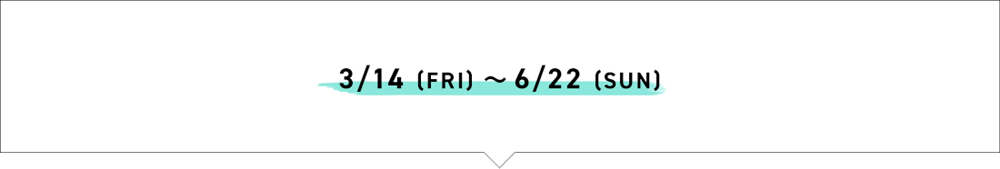 9/6(FRI)～11/4(MON) 2024 FALL/WINTER WETSUITS ORDER FAIR