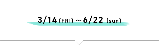 9/6(FRI)～11/4(MON) 2024 FALL/WINTER WETSUITS ORDER FAIR