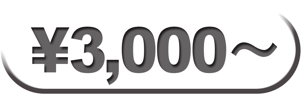 3000